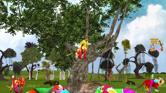 Animals Colors Finger Family | Animals Finger Family Collection | Finger Family | Nursery Rhymes