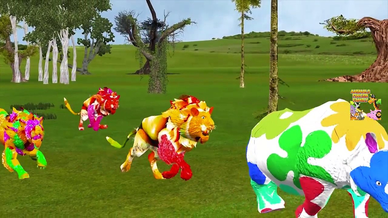 Rainbow Colors Animals Finger Family | Elephant Lion Bear Finger Family | Colors Animals Cartoon