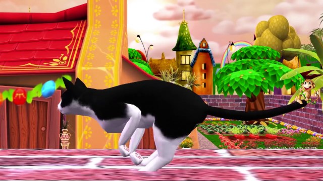 Little Baby Boy Colors Funny Cats Compilation Finger Family | Funny Little Babies Nursery Rhymes