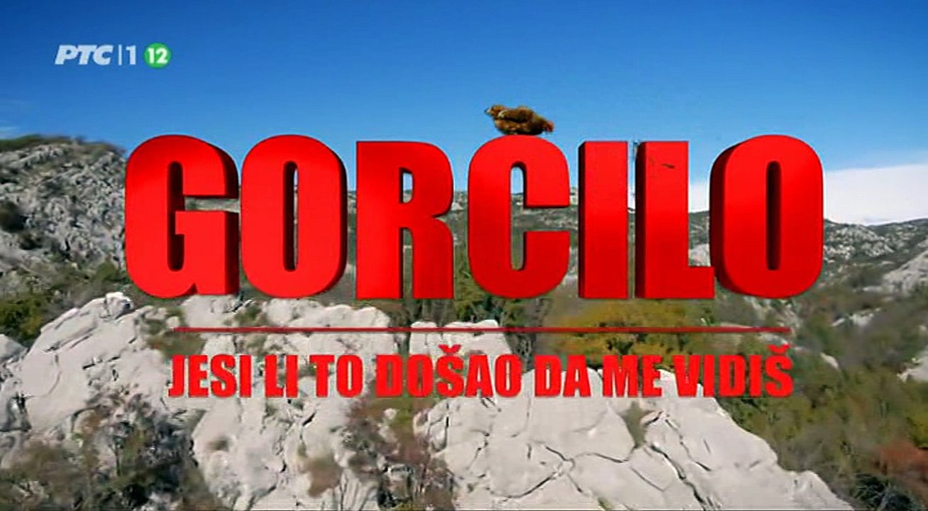 Gco 5