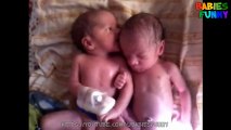 Best of Twin Babies Part 2 - Twins Happiness Baby - Funny Twins Baby Compilation 2016