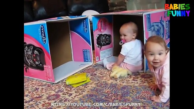 Cute Babies Playing In Boxes - Cutest Babies Videos 2017