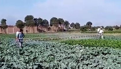 Manual Boom Sprayer - Impressive idea