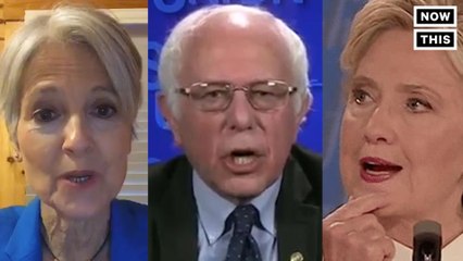 Bernie Sanders has some thoughts on Jill Stein's recount push