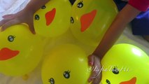 Learning Numbers Lyrics - Five Little Ducks Popping Balloon @LifiaTubeHD