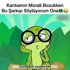 Haydi Eller Havaya
