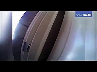 woman locked 14 cats in her house for few days see what happened