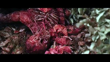 Hatchet III - Official Trailer (HD) Danielle Harris