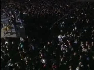 AMIGO BRONCO- rochgue