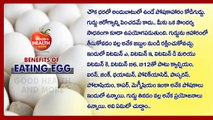 Health Benefits of Egg II  Benefits For Body II Telugu Health Tips II  కోడి గుడ్డు వల్ల ఉపయోగాలు