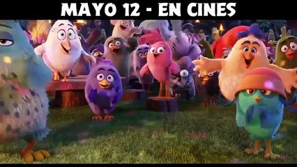Angry Birds. La Película Tv Spot (2016) Español Latino