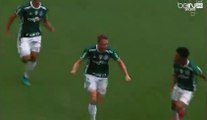 Fabiano Leismann Golazooooo , Goal - Palmeiras 1-0 Chapecoense - (27/11/2016)