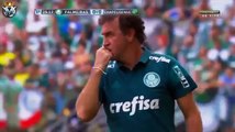 Palmeiras vs Chapecoense  1-0   FABIANO Fantastic goal  Brasileirão 27-11-2016 (HD)