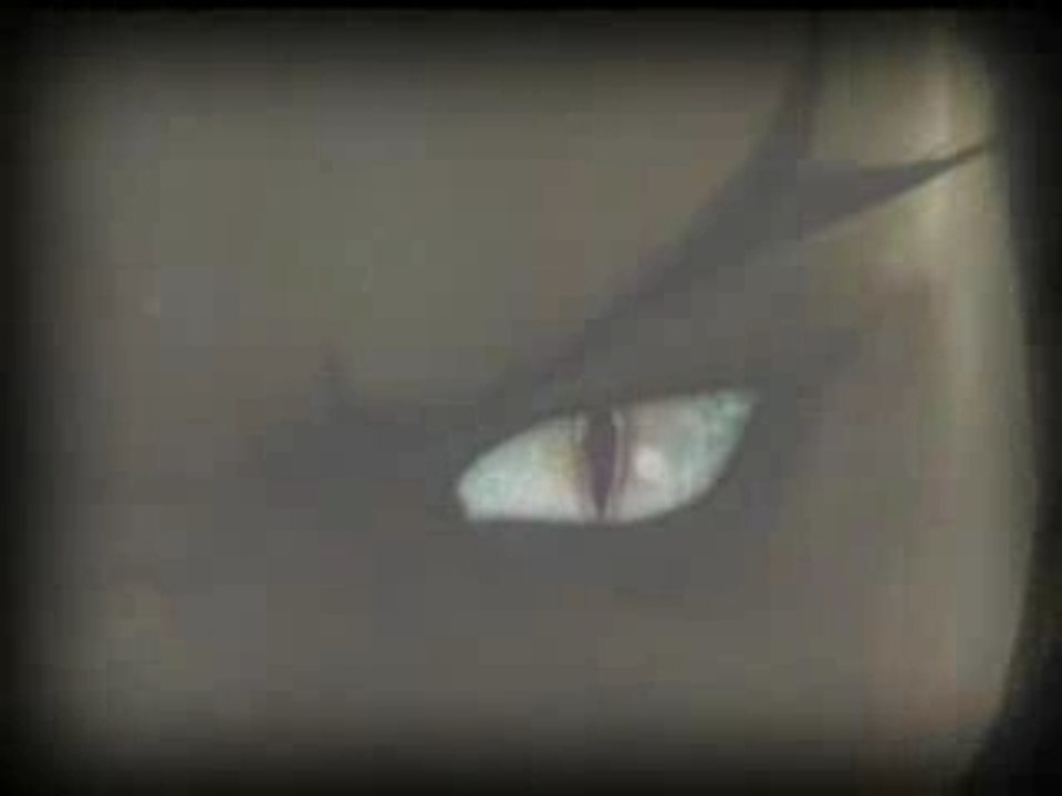 TFS - Tekken 5