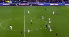 Edinson Cavani  Goal HD - Lyon 1 - 2 Paris SG - Ligue 1 - 27.11.2016