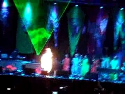 Bjork en gros plan concert Rock en seine 2007