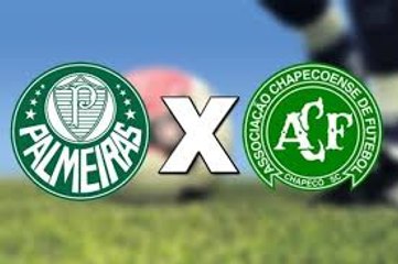 Palmeiras 1-0 Chapecoense - All goals HD 27.11.2016