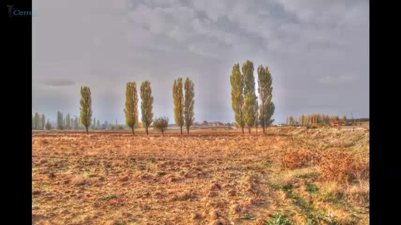 Sonbahar 2016