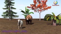 Lion Vs Cheetah Finger Family 3d rhymes | 3d Animals collection