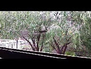 20160802 Fly in on time