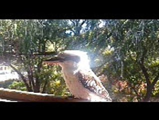20161119_08 put on Daily Motion