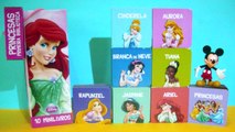 DISNEY PRINCESAS Primeira Biblioteca 10 Mini Livros 9 PRINCESS by DisneyMagicToys Video