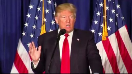 President-elect Donald Trump says 'millions voted illegally'