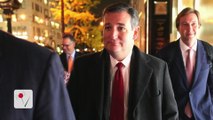 Ted Cruz Predicts 'Pitchforks and Torches' If GOP Doesn't 'Deliver'