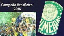 Trajetória de campeão! Relembre gols do Palmeiras no Brasileirão 2016