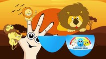 Finger Family Lion |Surprise Eggs Nursery Rhymes | Animal Finger Family Song for Kids Toddlers Baby