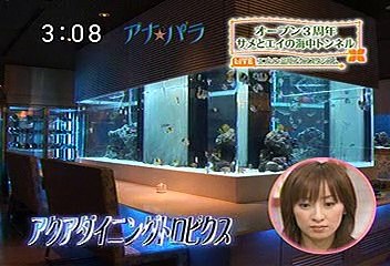 [2000年代バラエティ傑作シリーズ] アナ☆パラ（2008年5月19日 ＯＡ）
