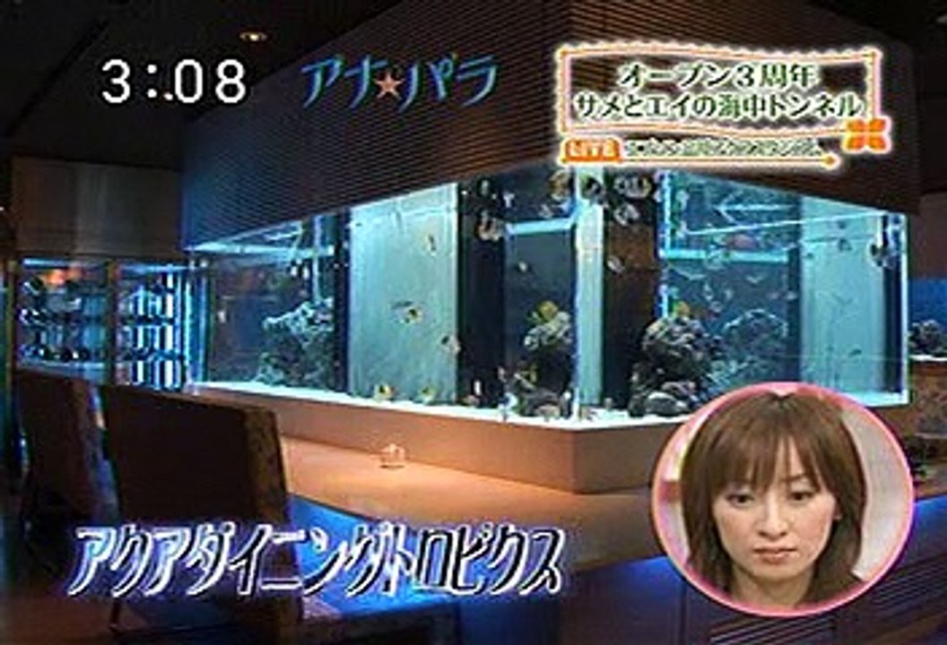 [2000年代バラエティ傑作シリーズ] アナ☆パラ（2008年5月19日 ＯＡ）