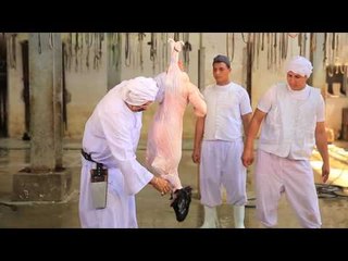 دبح خروف العيد | الشيف شربيني