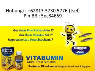 +62813.3730.5776 (T-Sel) nutrisi anak