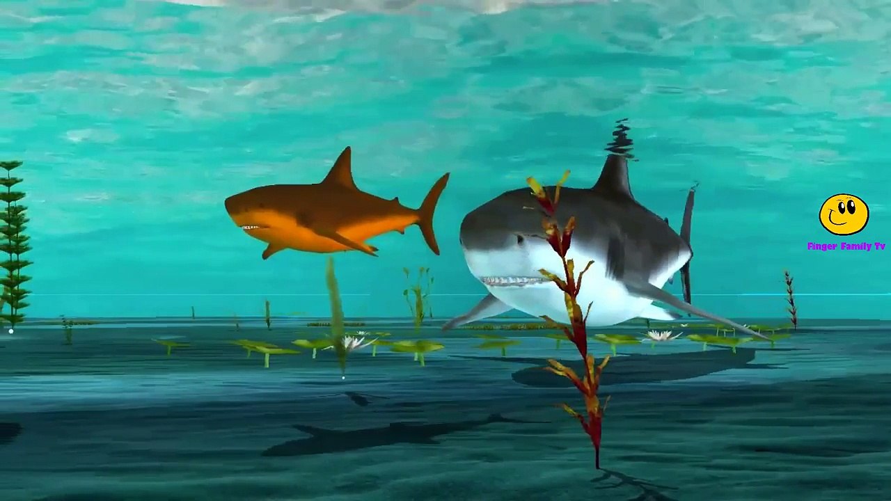 Sharks Cartoons for Children Johny Johny Yes Papa Nursery Rhymes for Babies, Kids