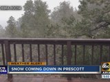 Snow comes down in northern Arizona as winter storm hits