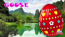 Learn Domestic animals Names Easter Eggs | Animals Superheroes Finger family Rhymes For Children