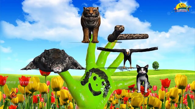 3d Animals Finger Family Nursery Children rhymes | Tigerr,Crocodile,Cat,Egle,Snake