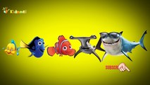Nursery Rhyme From YOUTUBE FINDING NEMO Finger Family Nursery Rhyme Kids Songs | Shark - Fish - Ani