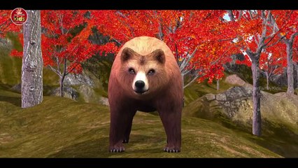 3D Animated Bear Finger Family English Nursery Rhyme || Nursery Rhymes For Children