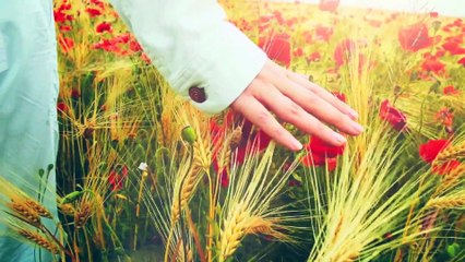 Pik Nik Electronik Sardinia +017