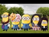 MINIONS Finger Family | Nursery Rhymes Song | Minions DADDY Family for Children