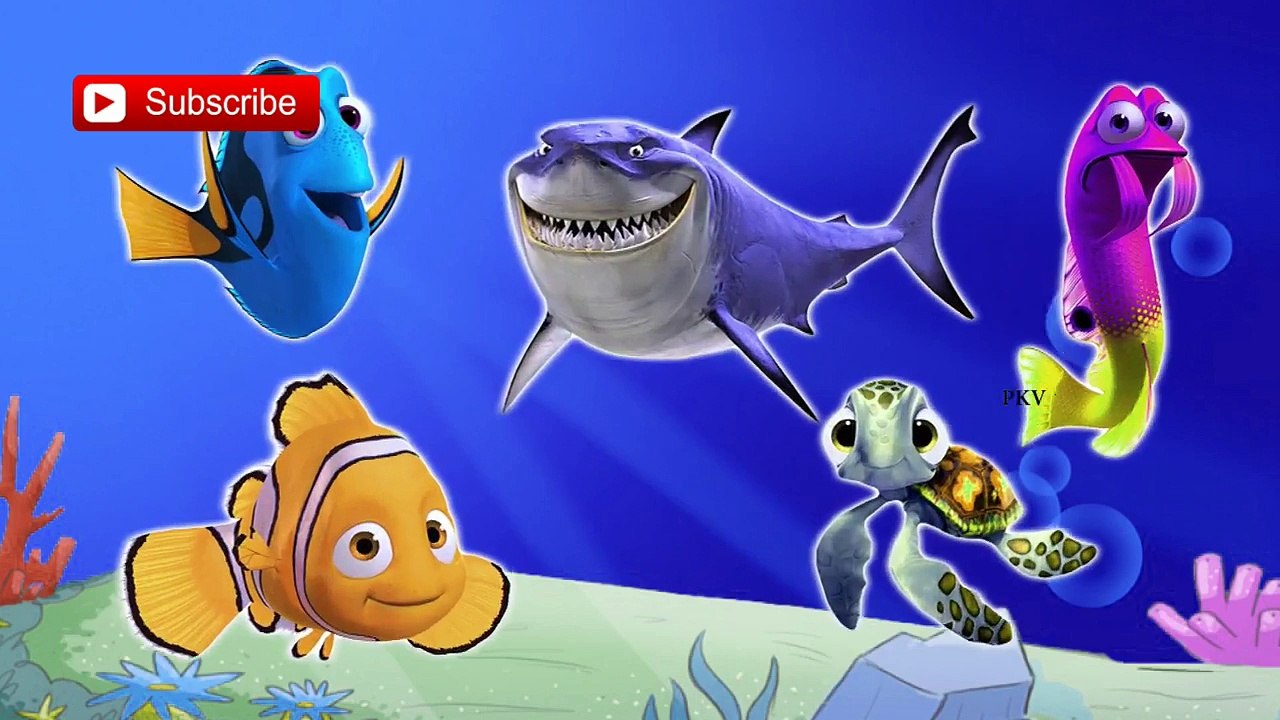 61 Nemo