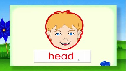 Learning body parts in English ABCs Teach Colours - Baby Toddler Preschool