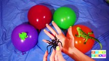 5 Mega Insects Balloon - Learn Color Wet Balloons - Finger Nursery Rhymes Tarantula Songs