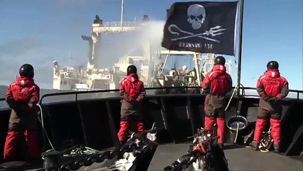 Omar Todd - Protect: Crowd Funding Trailer