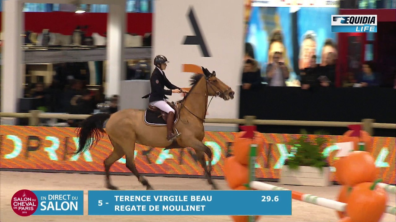 SALON DU CHEVAL EPREUVE 11 CSO PRO 2