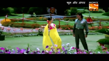 HUM TERI MUHABBAT MEIN HDTV 720p Video Song PHOOL AUR ANGAR Quality Video Songs