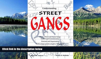 READ THE NEW BOOK Understanding Street Gangs Robert K. Jackson TRIAL BOOKS
