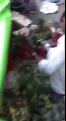 Be Alert when you buy Fruits